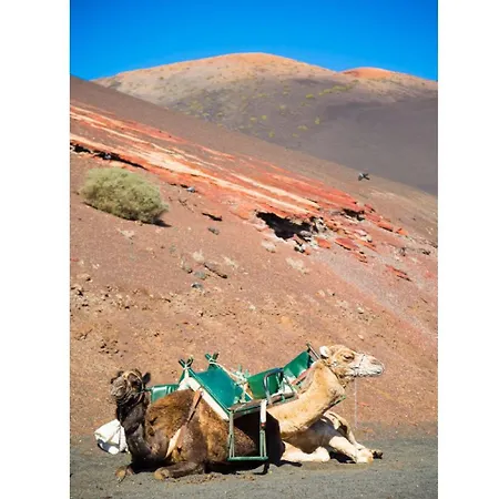 Costa Papagayo 5 فيلة *